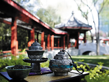 SPA Garden
